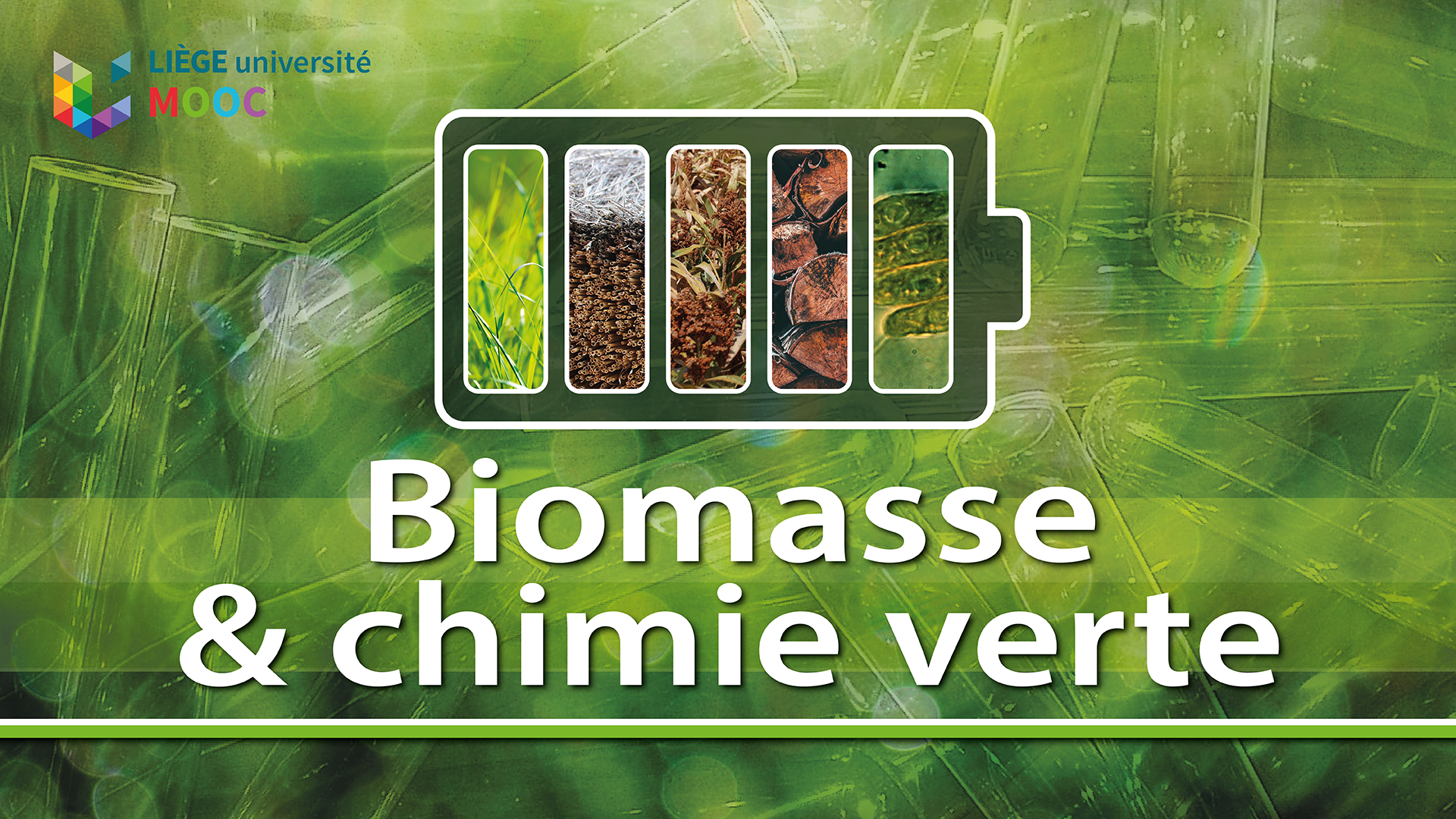 Biomasse et Chimie Verte HE Leonard de Vinci 2025 BiomasseHELVinci